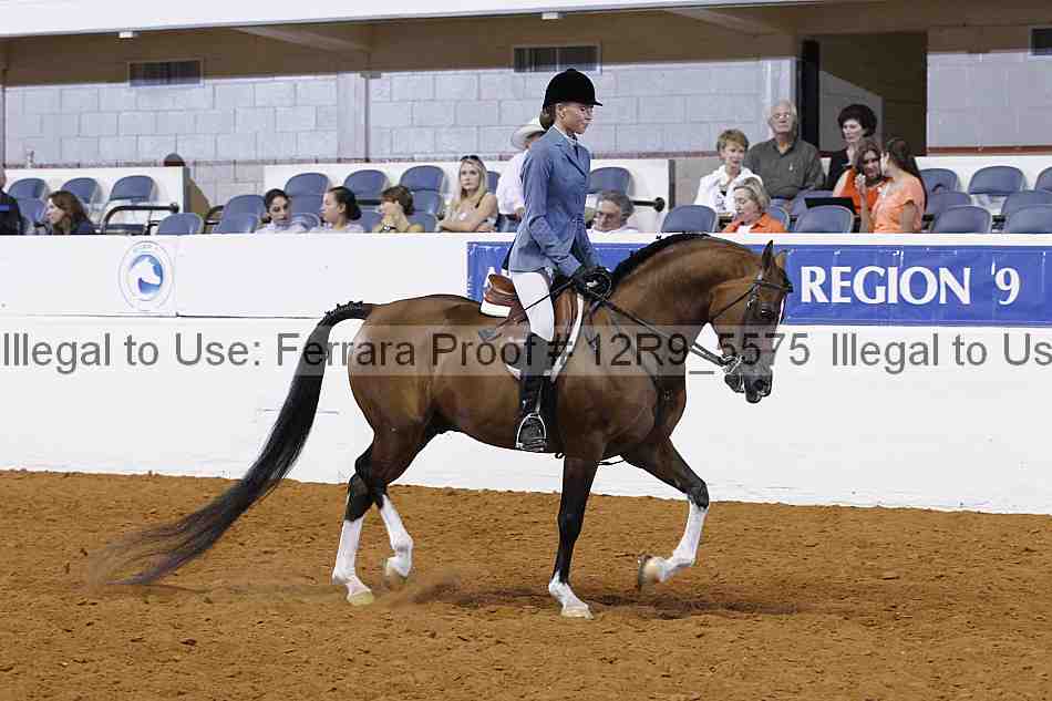 Proof Number 12r9_5575