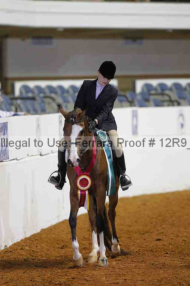 Proof Number 12r9_5593