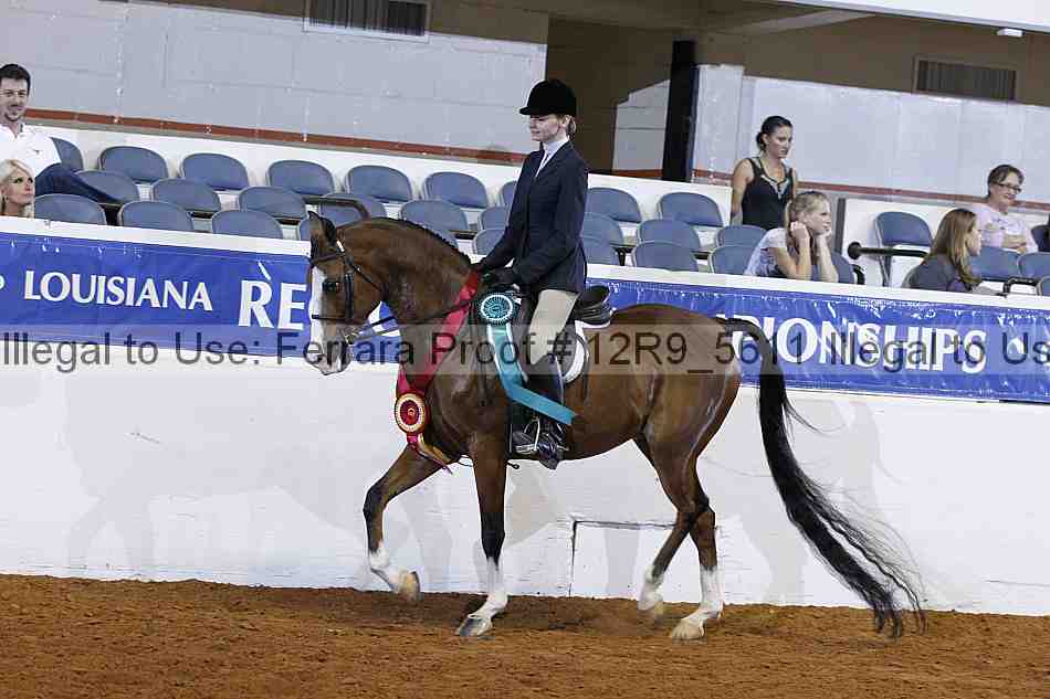 Proof Number 12r9_5611