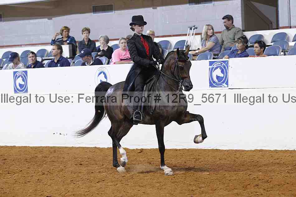 Proof Number 12r9_5671