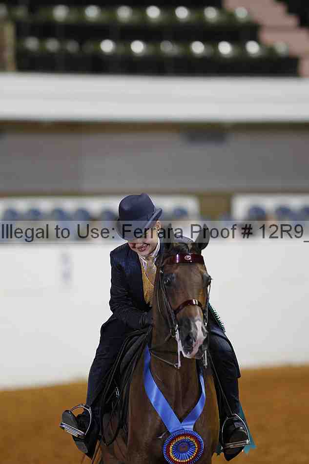 Proof Number 12r9_5695