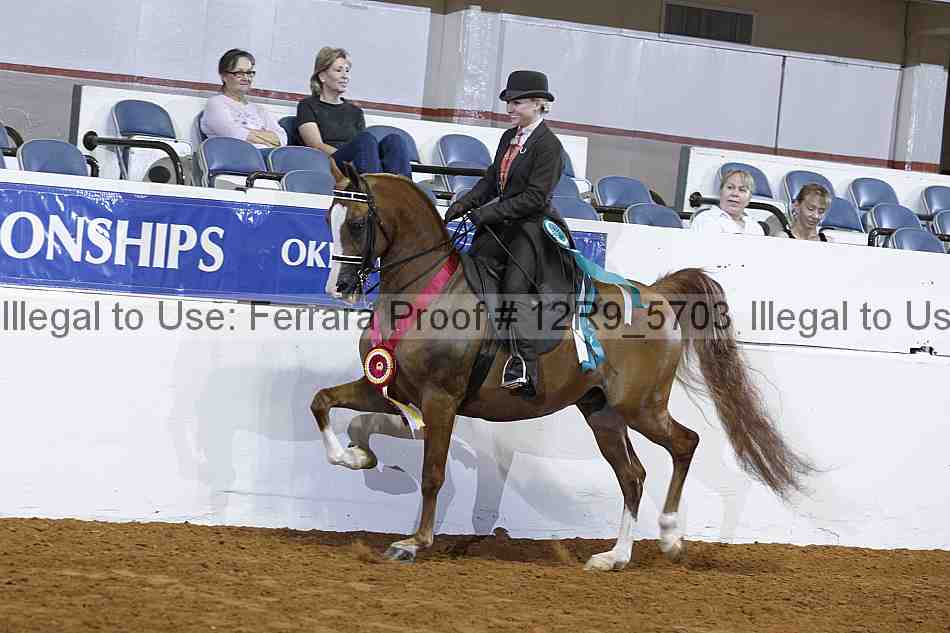 Proof Number 12r9_5703