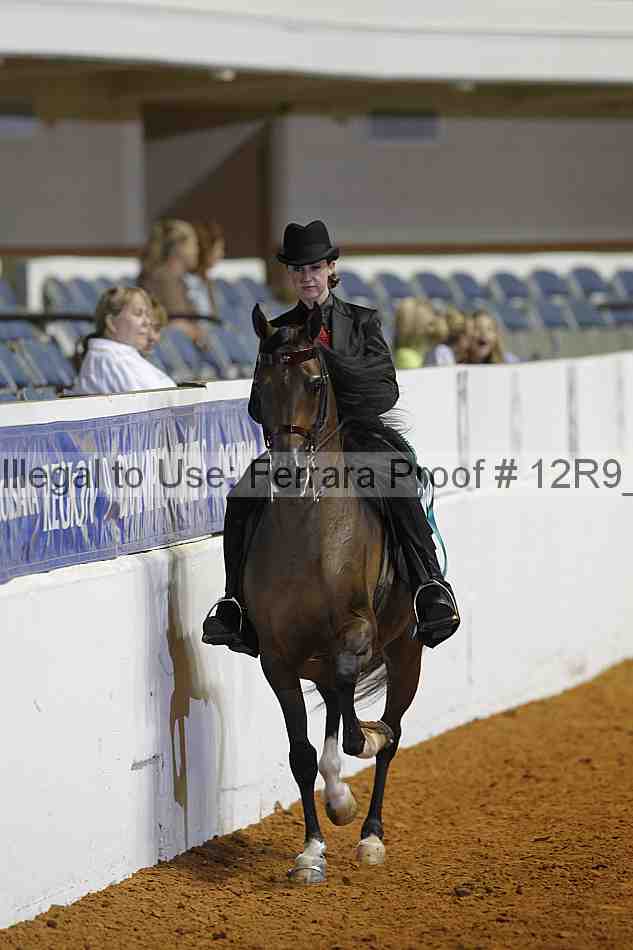 Proof Number 12r9_5713