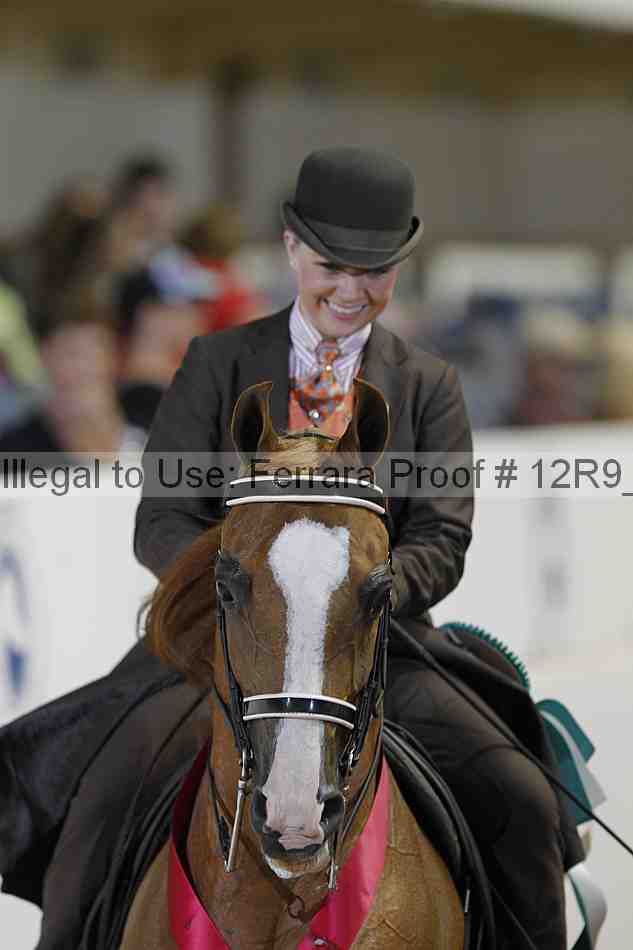 Proof Number 12r9_5717
