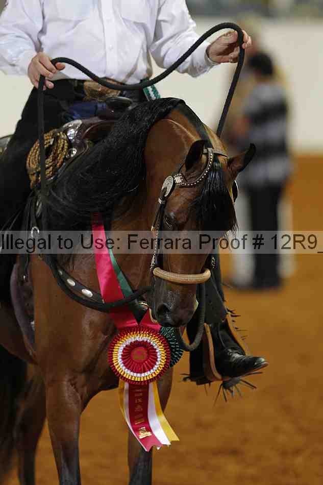 Proof Number 12r9_5763