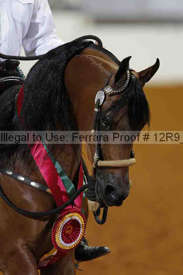 Proof Number 12r9_5764
