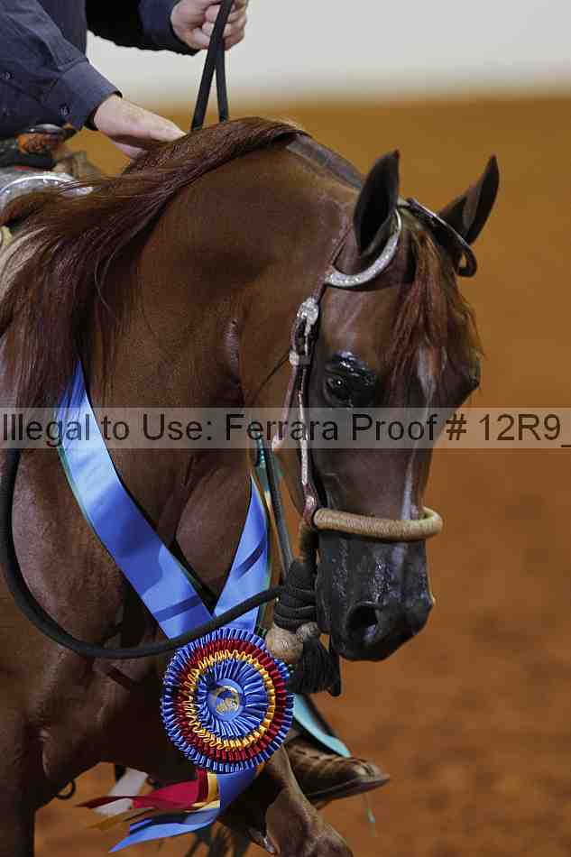 Proof Number 12r9_5794
