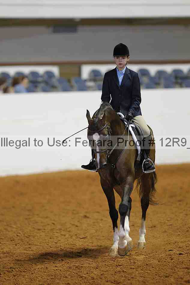 Proof Number 12r9_5819