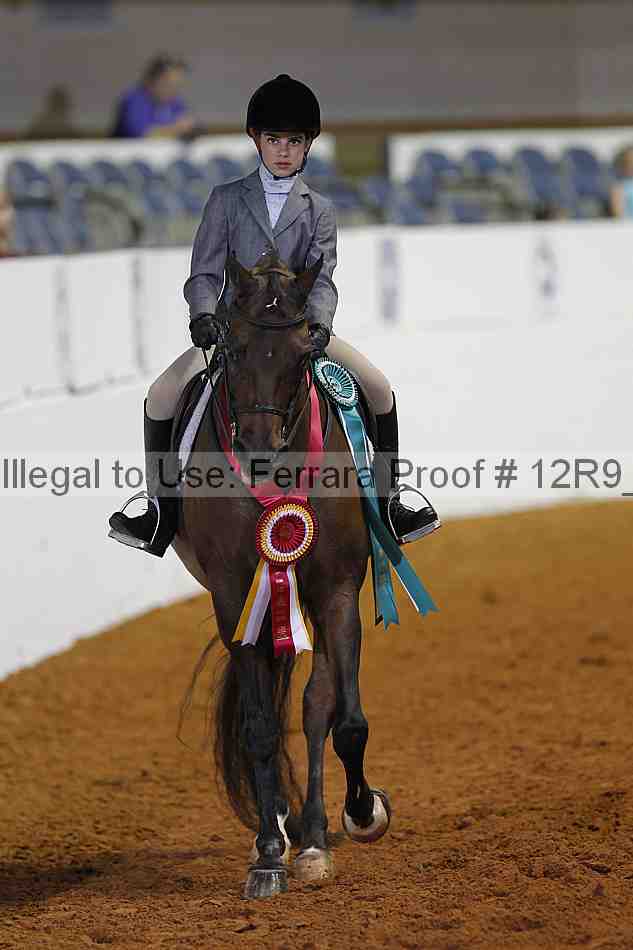 Proof Number 12r9_5828