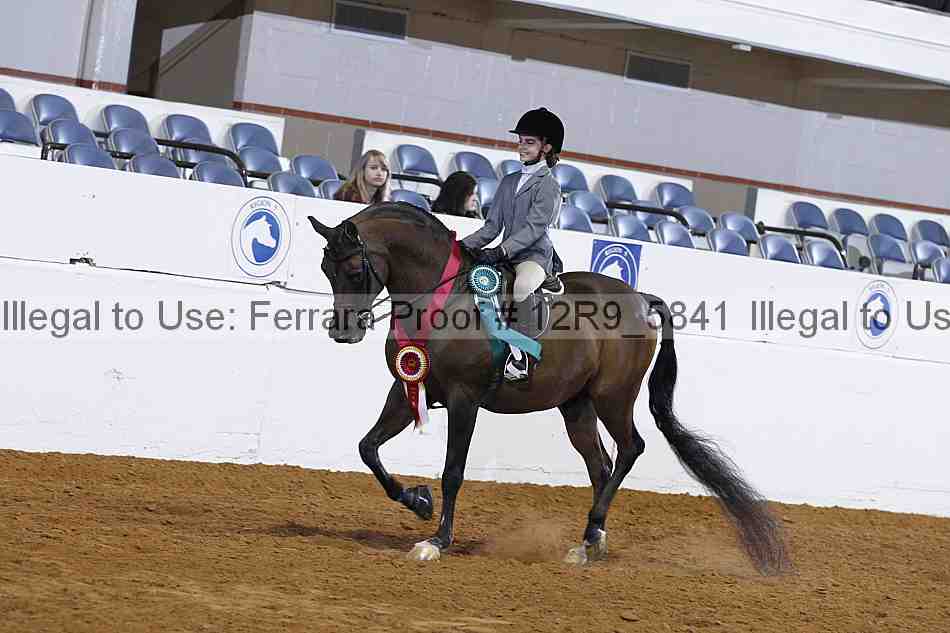 Proof Number 12r9_5841