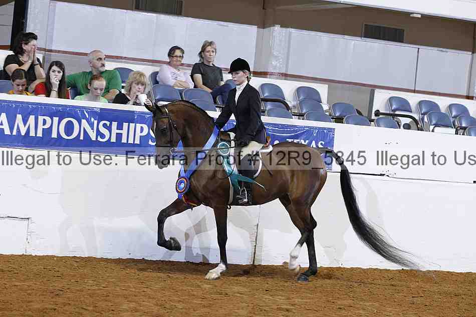 Proof Number 12r9_5845