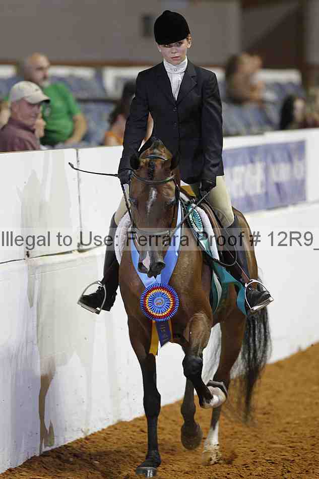 Proof Number 12r9_5853