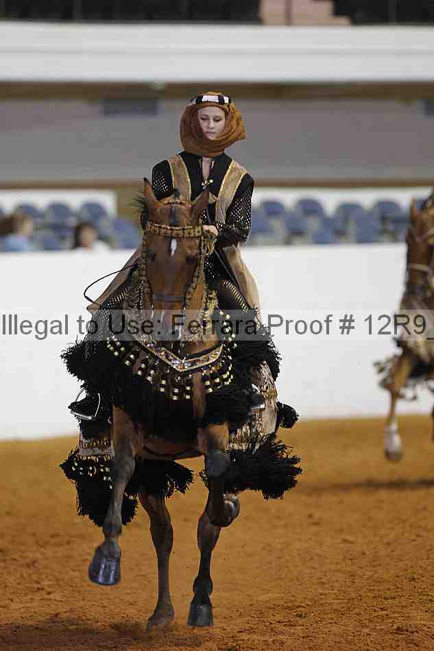 Proof Number 12r9_5889