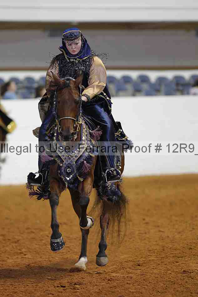 Proof Number 12r9_5895