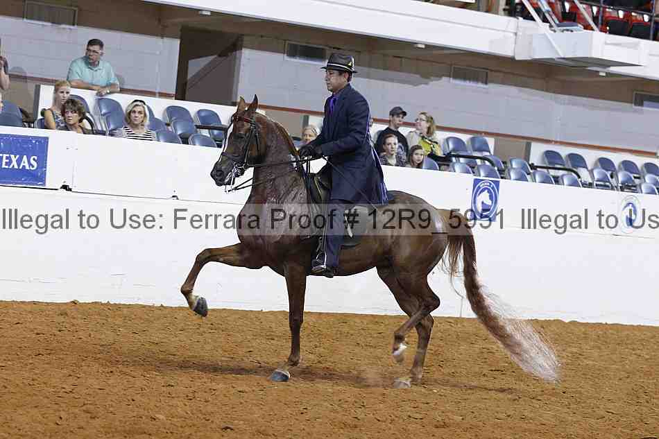 Proof Number 12r9_5951