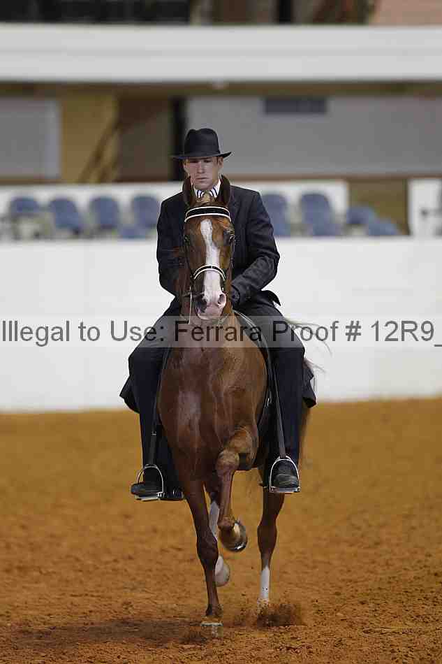Proof Number 12r9_5963