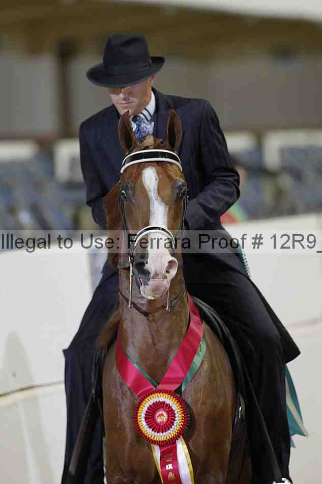 Proof Number 12r9_5968