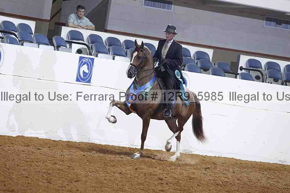 Proof Number 12r9_5985