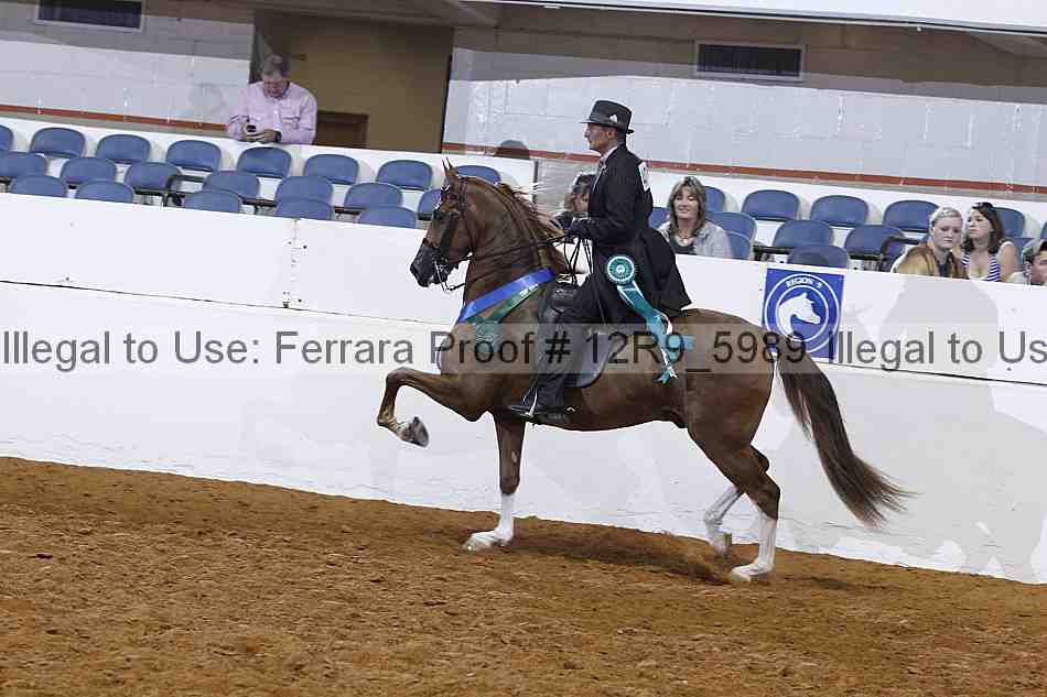 Proof Number 12r9_5989