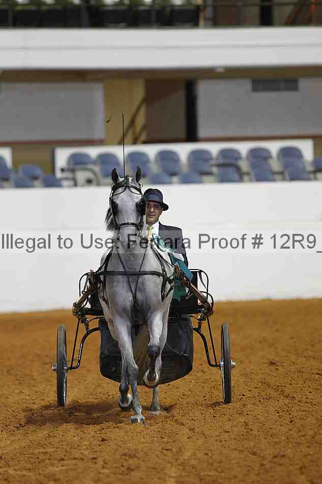 Proof Number 12r9_6036