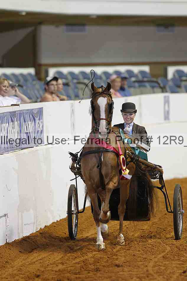 Proof Number 12r9_6041