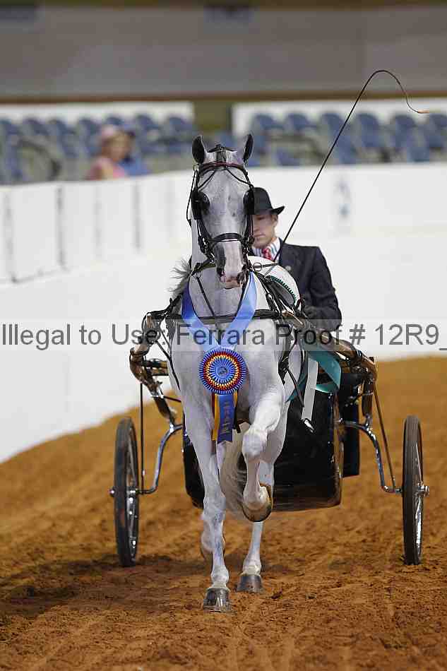 Proof Number 12r9_6044