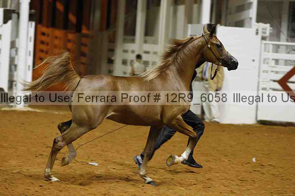 Proof Number 12r9_6058