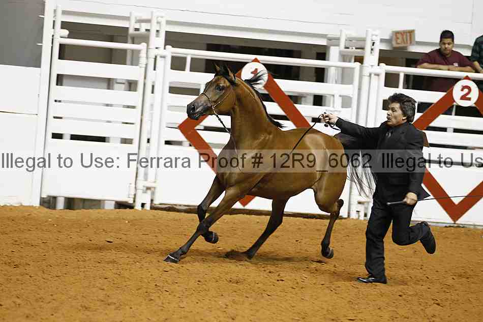 Proof Number 12r9_6062