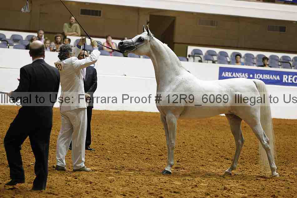 Proof Number 12r9_6069