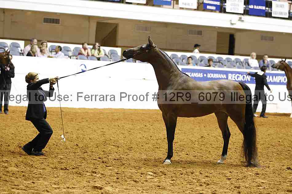 Proof Number 12r9_6079