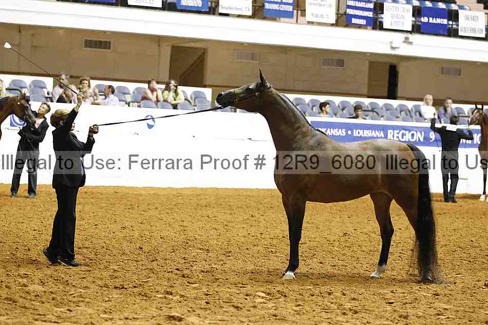 Proof Number 12r9_6080