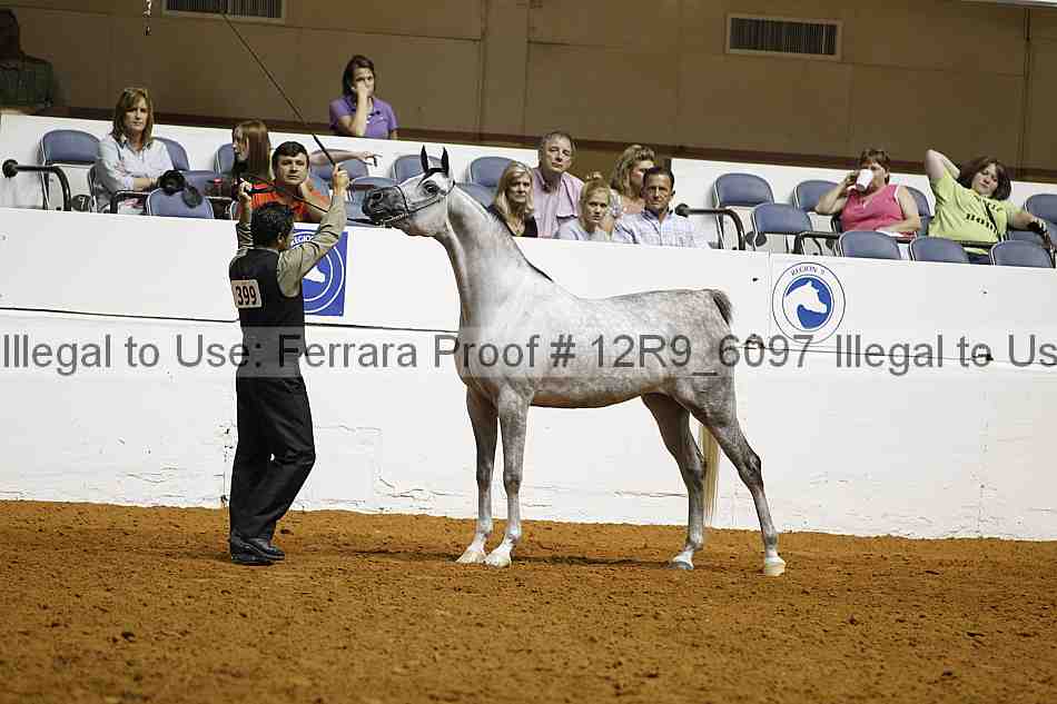 Proof Number 12r9_6097