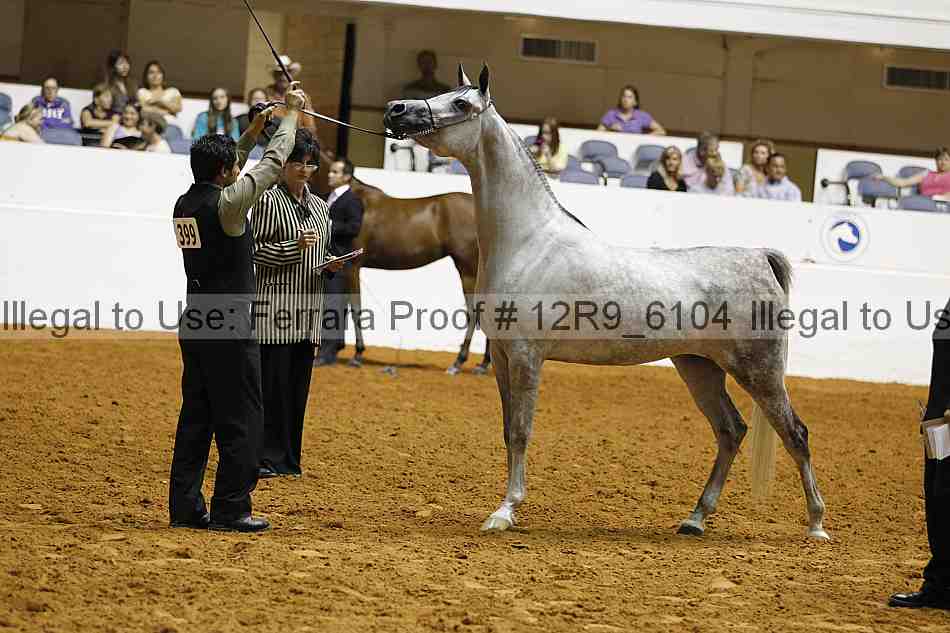 Proof Number 12r9_6104