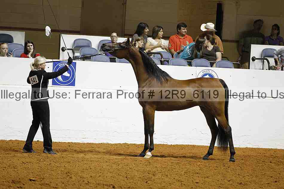 Proof Number 12r9_6119