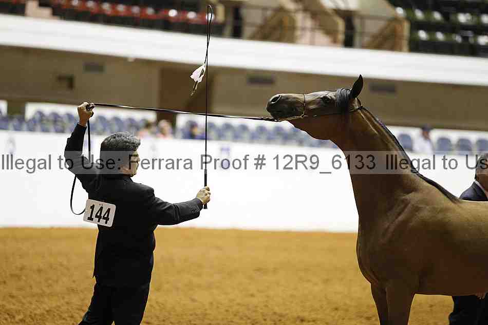 Proof Number 12r9_6133