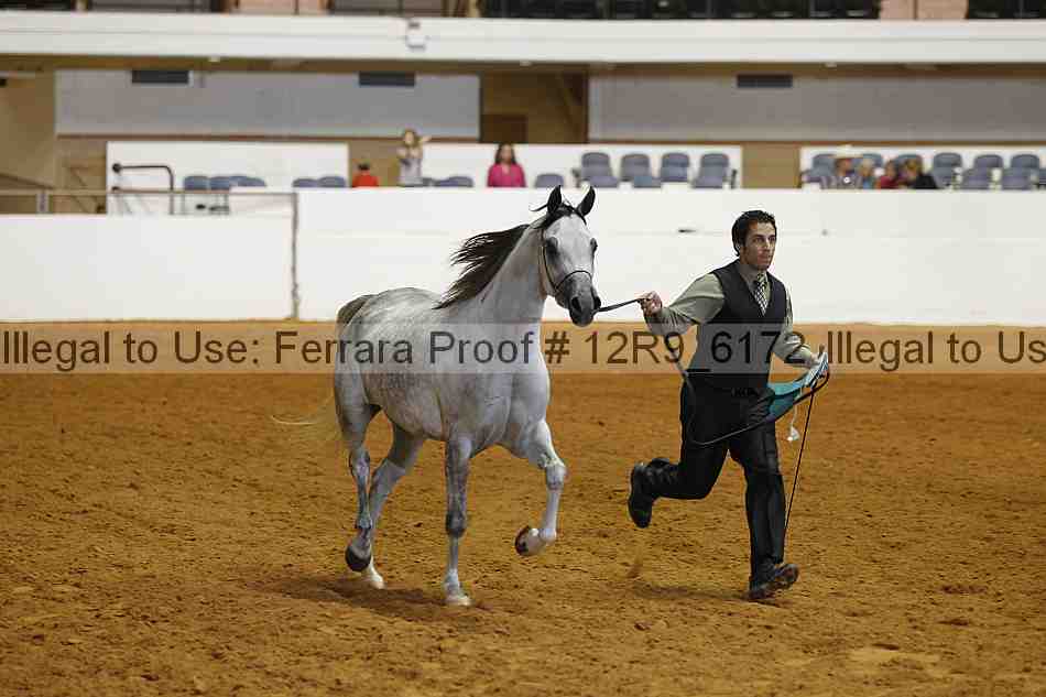 Proof Number 12r9_6172