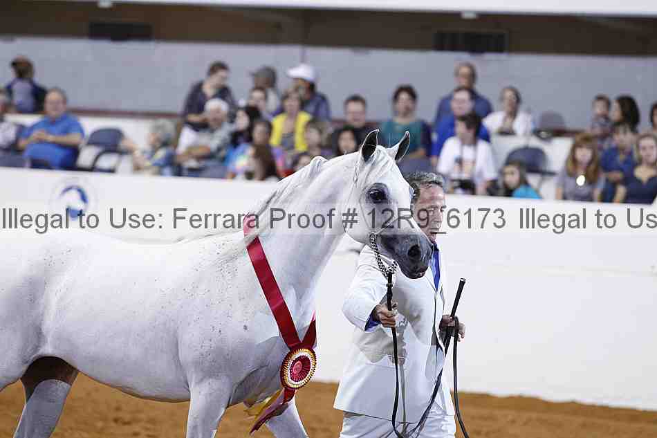 Proof Number 12r9_6173