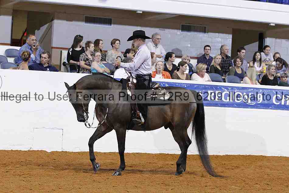 Proof Number 12r9_6209