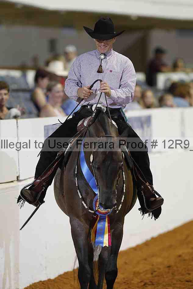 Proof Number 12r9_6221