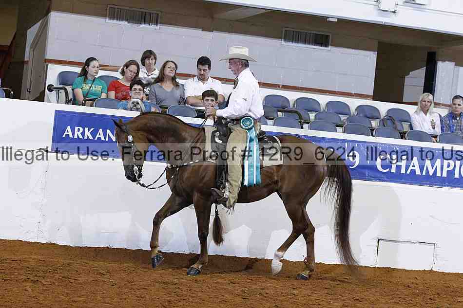 Proof Number 12r9_6224