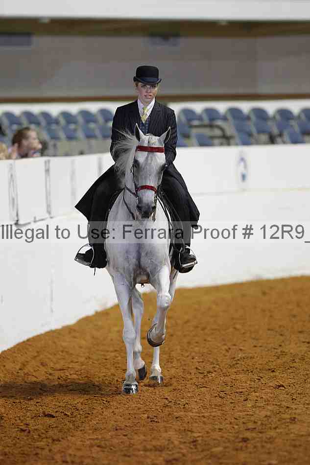 Proof Number 12r9_6253