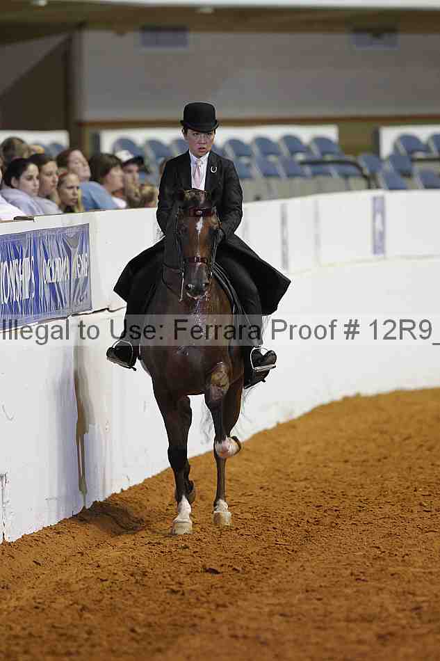 Proof Number 12r9_6256