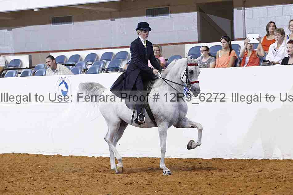 Proof Number 12r9_6272
