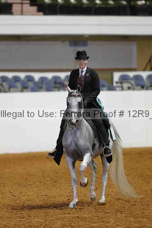 Proof Number 12r9_6287