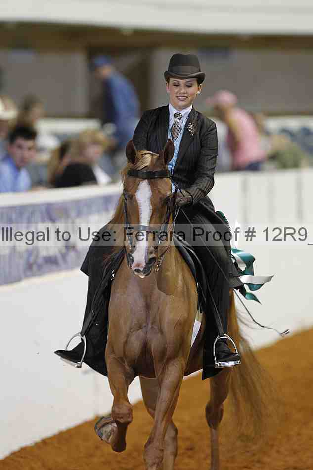 Proof Number 12r9_6296