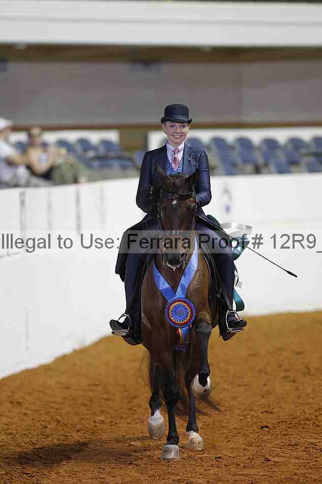 Proof Number 12r9_6303