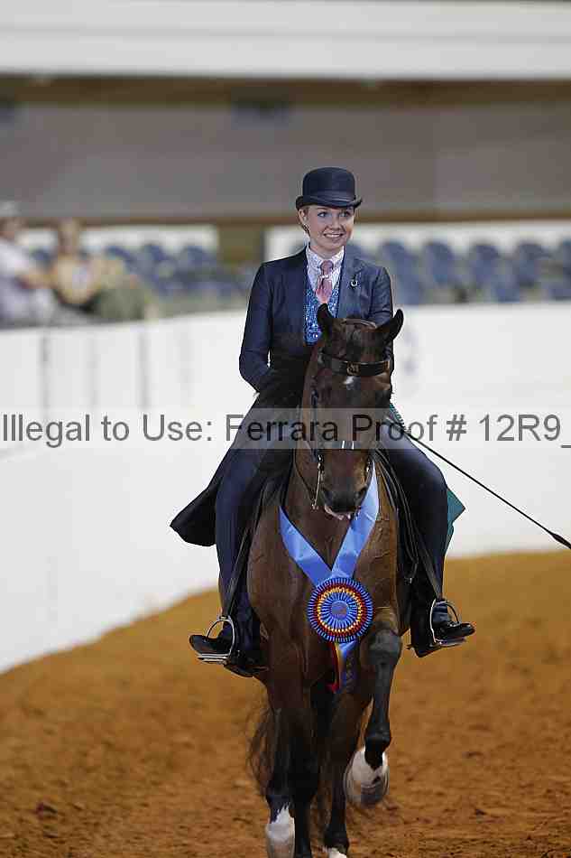 Proof Number 12r9_6304