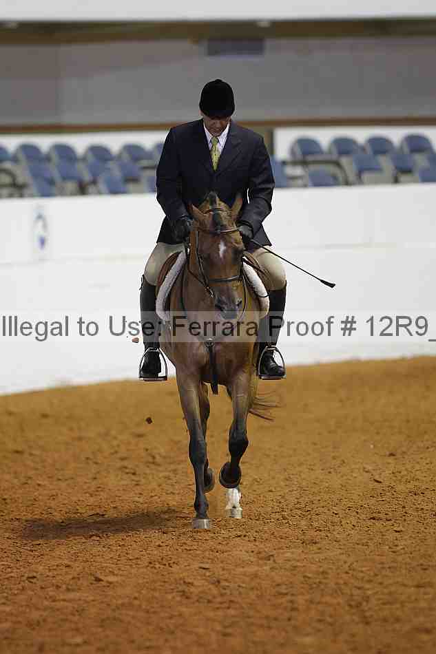 Proof Number 12r9_6337