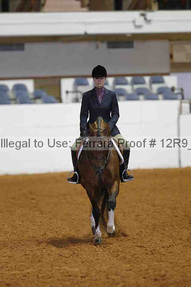 Proof Number 12r9_6345