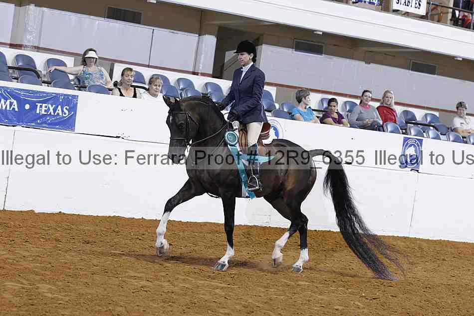 Proof Number 12r9_6355